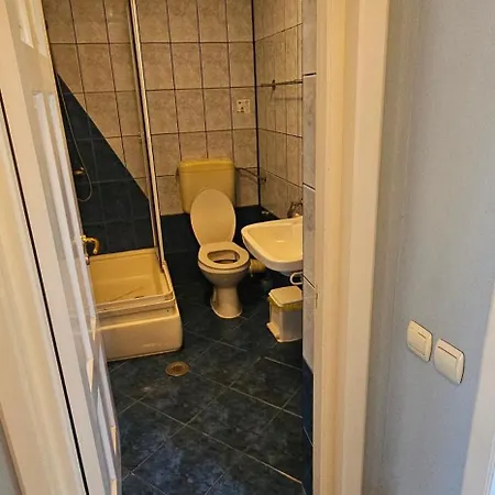 Casa Belu מלון 3*