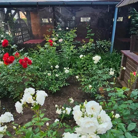 Casa Belu מלון 3*