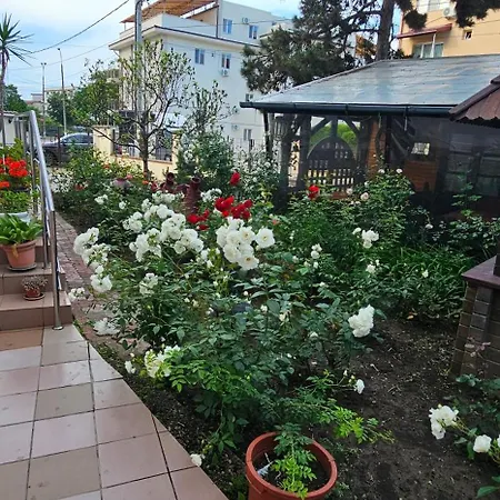 酒店 Casa Belu 3*