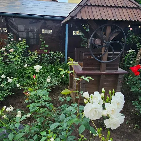 Casa Belu 3*